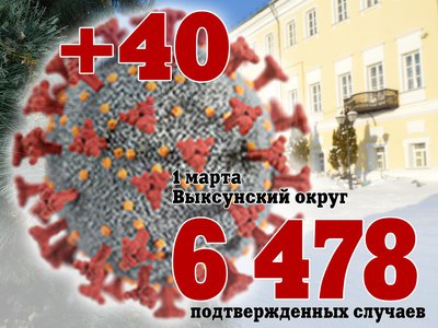 В Выксе +40, в Нижегородской области +2 989, в России +97 333