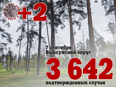 В Выксе +2, в Нижегородской области +391, в России +17 425