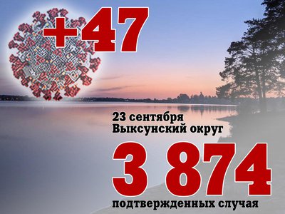 В Выксе +47, в Нижегородской области +502, в России +21 438