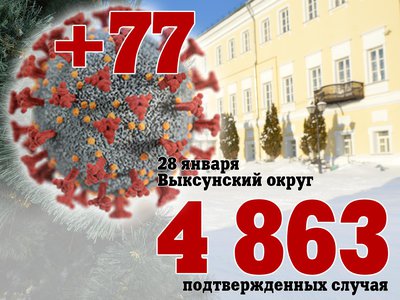 В Выксе +77, в Нижегородской области +1 595, в России +98 040