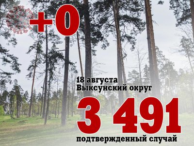 В Выксе +0, в Нижегородской области +521, в России +20 914