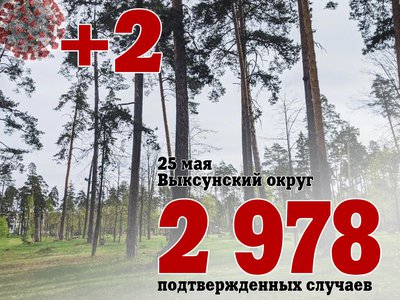 В Выксе +2, в Нижегородской области +138, в России +7 884