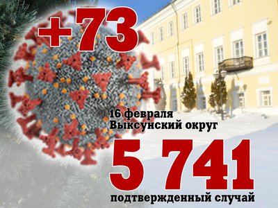 В Выксе +73, в Нижегородской области +4 882, в России +179 284