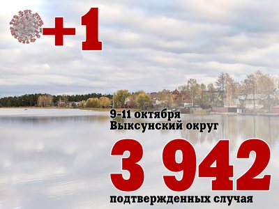 За три дня в Выксе +1, в Нижегородской области +1 942, за сутки в России +29 409
