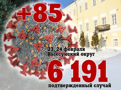 За двое суток в Выксе +85, за день в Нижегородской области +2 817, в России +132 998