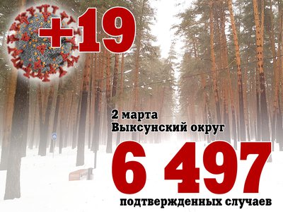 В Выксе +19, в Нижегородской области +3 009, в России +97 455