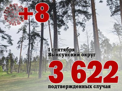 В Выксе +8, в Нижегородской области +402, в России +18 368