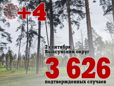 В Выксе +4, в Нижегородской области +394, в России +18 985