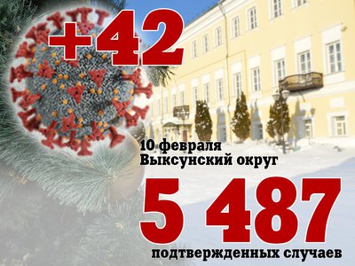 В Выксе +42, в Нижегородской области +5 120, в России +197 076