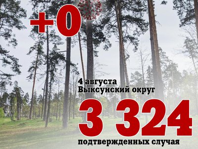 В Выксе +0, в Нижегородской области +544, в России +22 589
