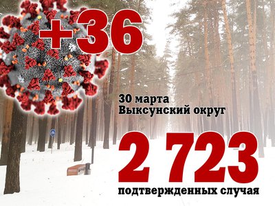 В Выксе +36, в Нижегородской области +277