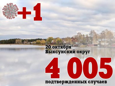 В Выксе +1, в Нижегородской области +728, в России +34 073