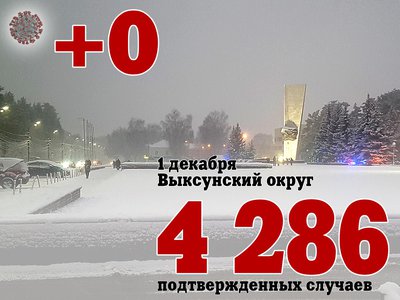 В Выксе +0, в Нижегородской области +699, в России +32 837