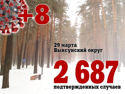 В Выксе +8, в Нижегородской области +291