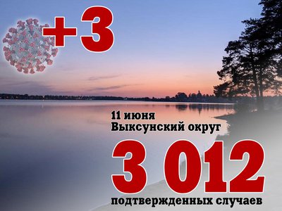 В Выксе +3, в Нижегородской области +159, в России +12 505