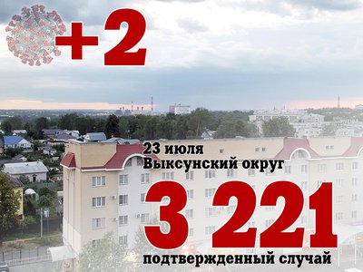В Выксе +2, в Нижегородской области +536, в России +23 811
