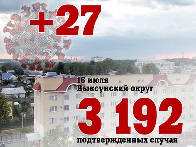 В Выксе +27, в Нижегородской области +529, в России +25 704