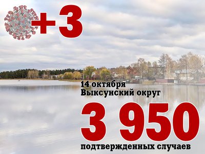 В Выксе +3, в Нижегородской области +682, в России +31 299