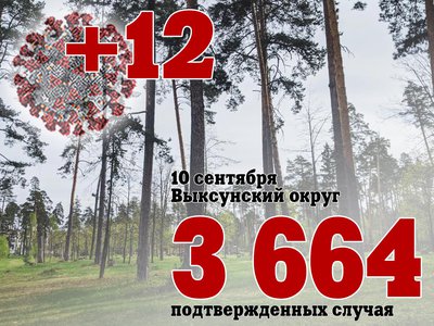 В Выксе +12, в Нижегородской области +409, в России +18 341