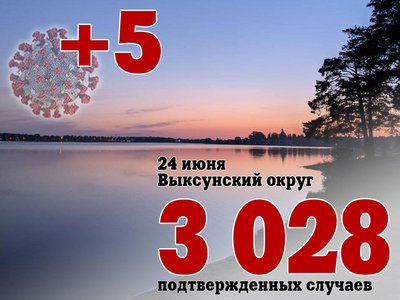 В Выксе +5, в Нижегородской области +299, в России +20 182