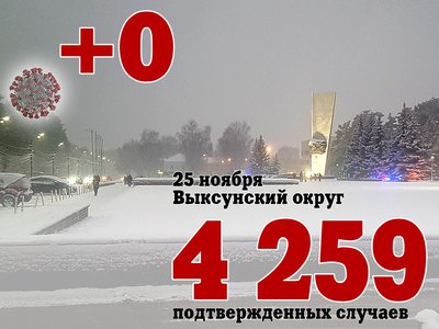 В Выксе +0, в Нижегородской области +719, в России +33 796