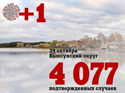 В Выксе +1, в Нижегородской области +806, в России +38 849