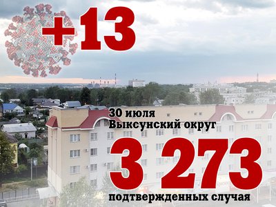 В Выксе +13, в Нижегородской области +535, в России +23 564