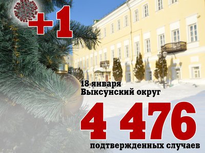 В Выксе +1, в Нижегородской области +322, в России +31 252