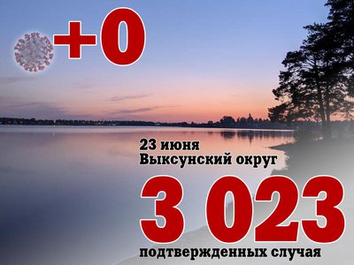 В Выксе +0, в Нижегородской области +291, в России +17 594