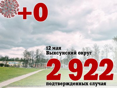 В Выксе +0, в Нижегородской области +121, в России +8 217