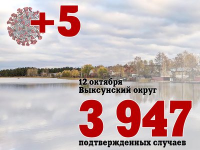 В Выксе +5, в Нижегородской области +655, в России +28 190
