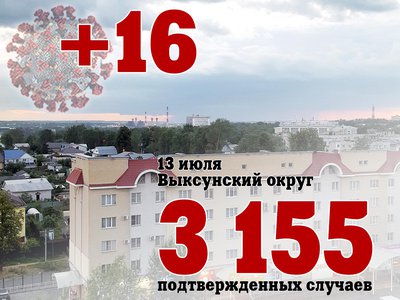 В Выксе +16, в Нижегородской области +524, в России +24 702