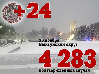 В Выксе +24, в Нижегородской области +731, в России +34 690