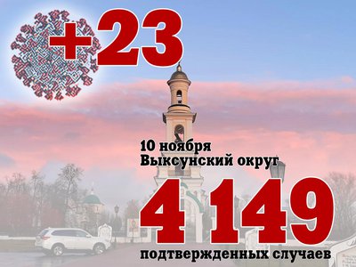 В Выксе +23, в Нижегородской области +781, в России +38 058