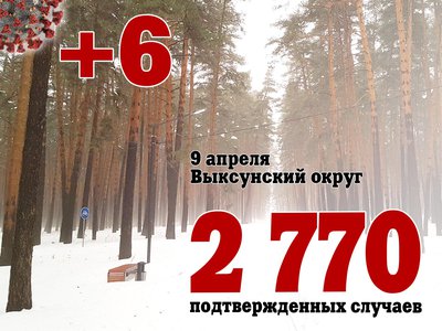 В Выксе +6, в Нижегородской области +249