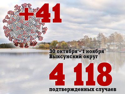 За три дня в Выксе +41, в Нижегородской области +2 416, за день в России +40 402
