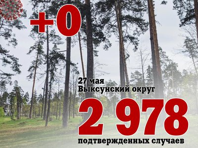 В Выксе +0, в Нижегородской области +144, в России +9 039