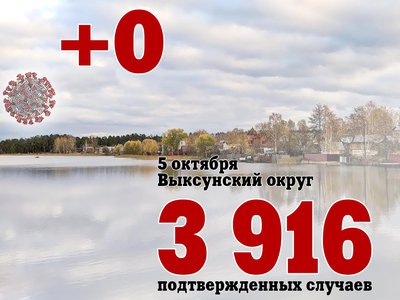 В Выксе +0, в Нижегородской области +602, в России +25 110