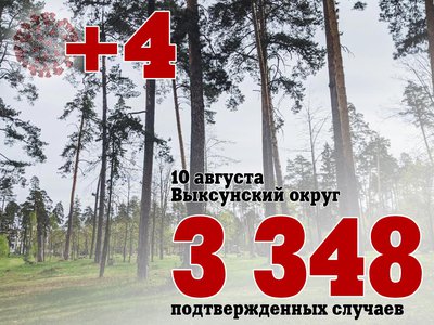 В Выксе +4, в Нижегородской области +537, в России +21 378