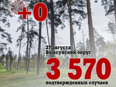 В Выксе +0, в Нижегородской области +407, в России +19 509