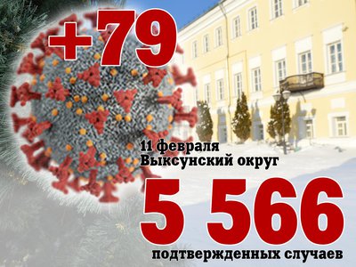 В Выксе +79, в Нижегородской области +4 682, в России +203 949