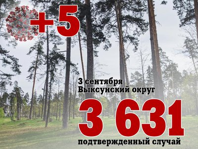 В Выксе +5, в Нижегородской области +403, в России +18 856