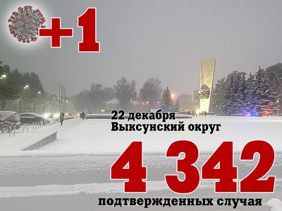 В Выксе +1, в Нижегородской области +525, в России +25 264