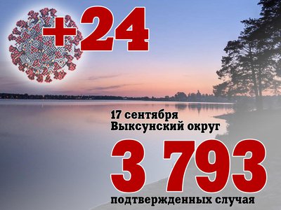 В Выксе +24, в Нижегородской области +446, в России +19 905