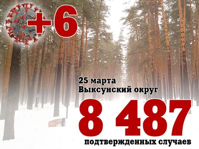 В Выксе +6, в Нижегородской области +814, в России +25 382