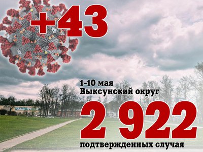 С 1 по 10 мая в Выксе +43, в Нижегородской области +1 377, в России + 91 554