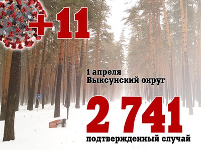 В Выксе +11, в Нижегородской области +290