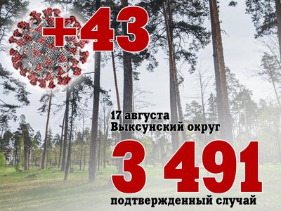 В Выксе +43, в Нижегородской области +526, в России +20 958