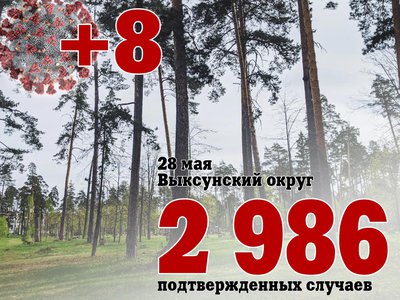 В Выксе +8, в Нижегородской области +146, в России +392 610