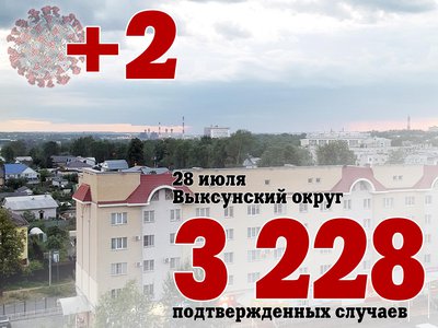 В Выксе +2, в Нижегородской области +544, в России +22 420